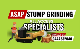 Tree Stump Removal Gold Coast