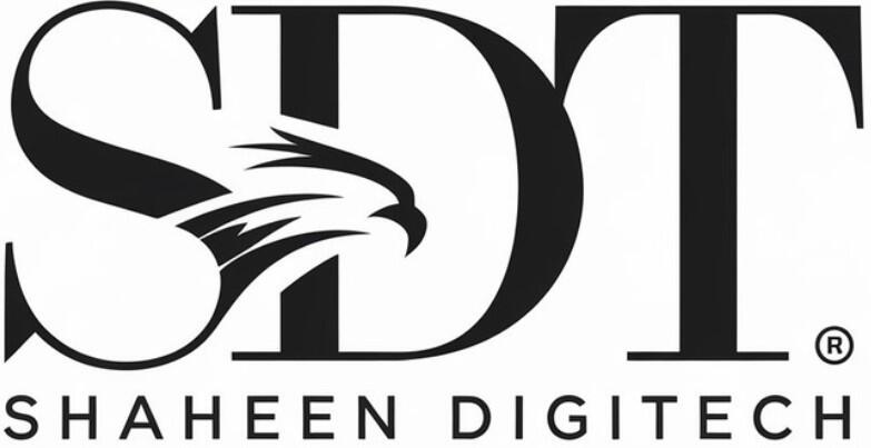 Best Digital Marketing Agency - ShaheenDigitech India